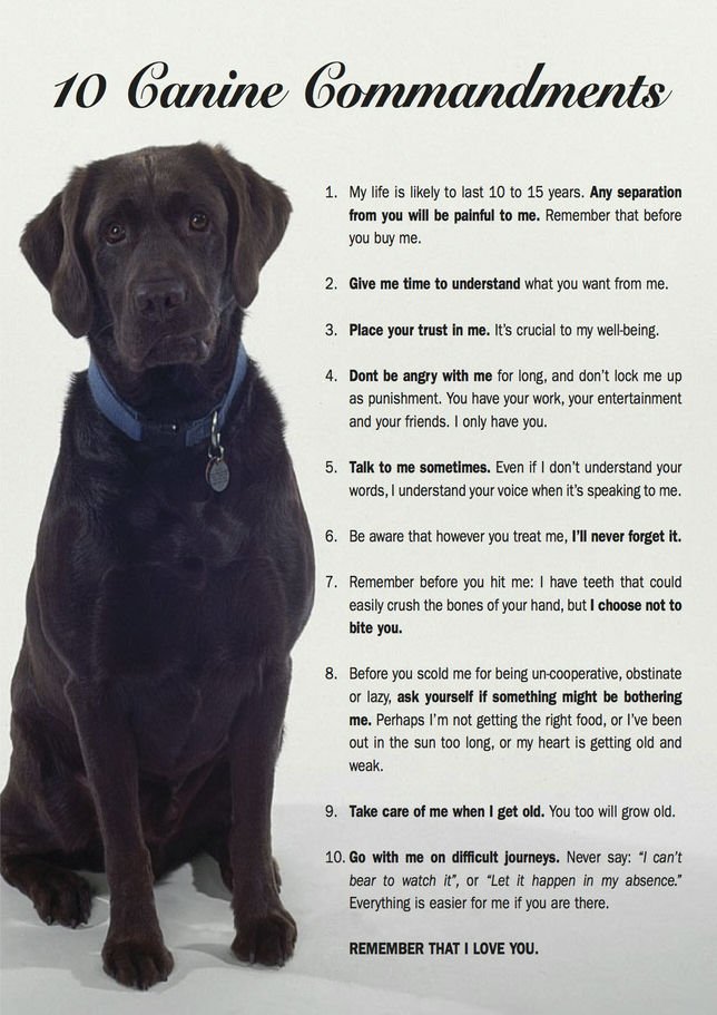 Ten Canine Commandments